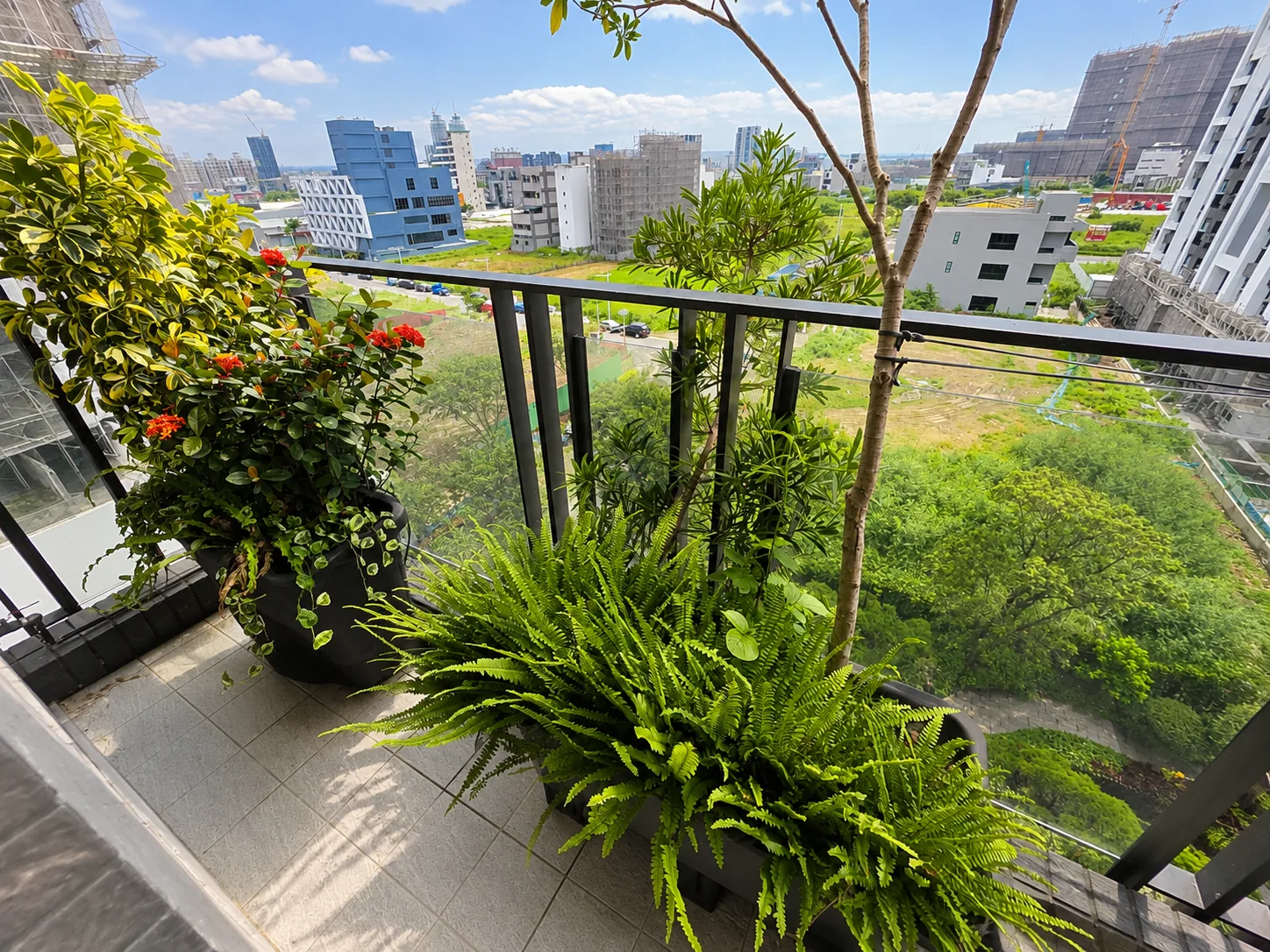 主臥窗外植栽與城市視野